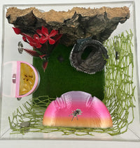 2 Pack Jumping Spider Accessories Mushroom Ledges & 1 Pack Water Bowl - colorful - image 4