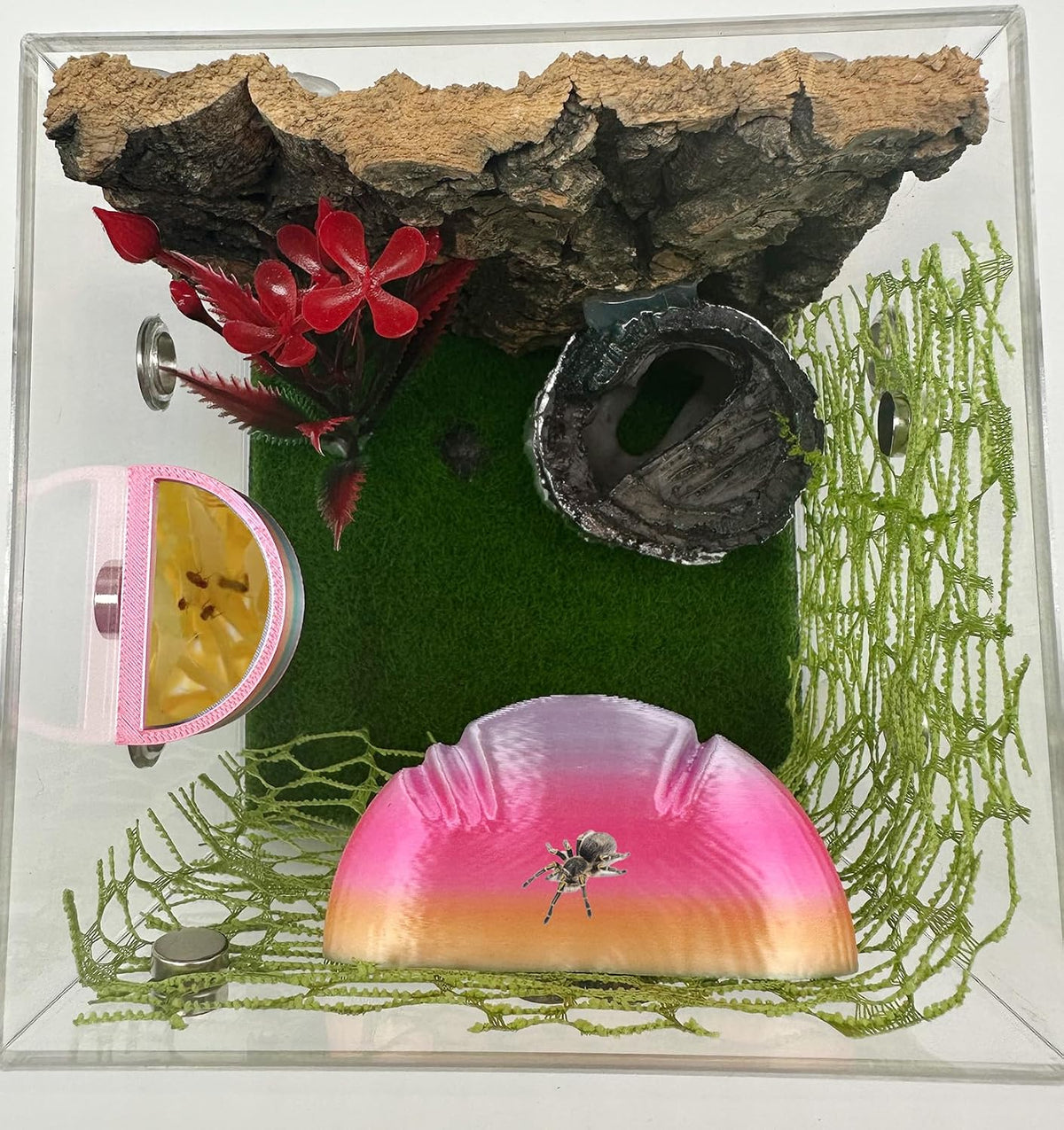 2 Pack Jumping Spider Accessories Mushroom Ledges & 1 Pack Water Bowl - colorful - image 4