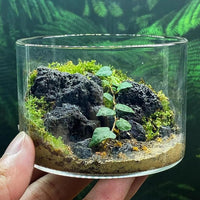 Natural Rocks Seiryu Stone 1-2.5 Inches Decorative Stones for Fairy - Lava Rock / 1lb(1-2.5Inch) - image 3