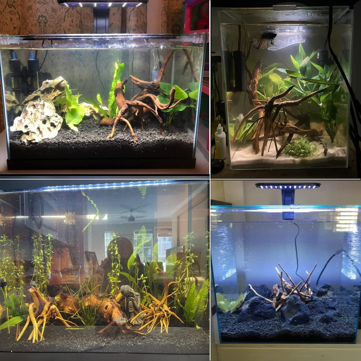 Aquarium Driftwood Natural Wood 4''-7'' Reptile Branch Fish Tank Tree - image 2