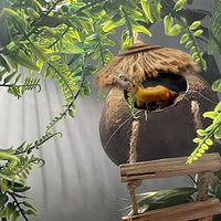 Leopard Gecko Coconut Hut with Ladder - 【Style C】 - image 4