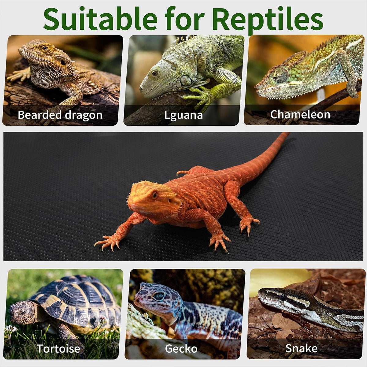 Bearded Dragon Tank Accessories, Reptile Mat - 18x36" Black - image 4