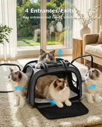 Pecute Cat Carrier, Double Bubble Pet Carrier for Cat Small Dogs - 18"L x 13.5"W x 14"H / Gray - image 2