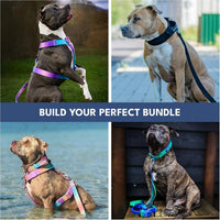 Spark Paws Hands Free Dog Leash - 90s Retro - image 3