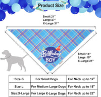 Dog Birthday Hat Bandana Set, Blue Plaid Boy Dog Bandana - Small / Sky Blue Boy - image 4