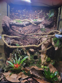 Galápagos Mossy Cave Hide, Green - 4" - image 4