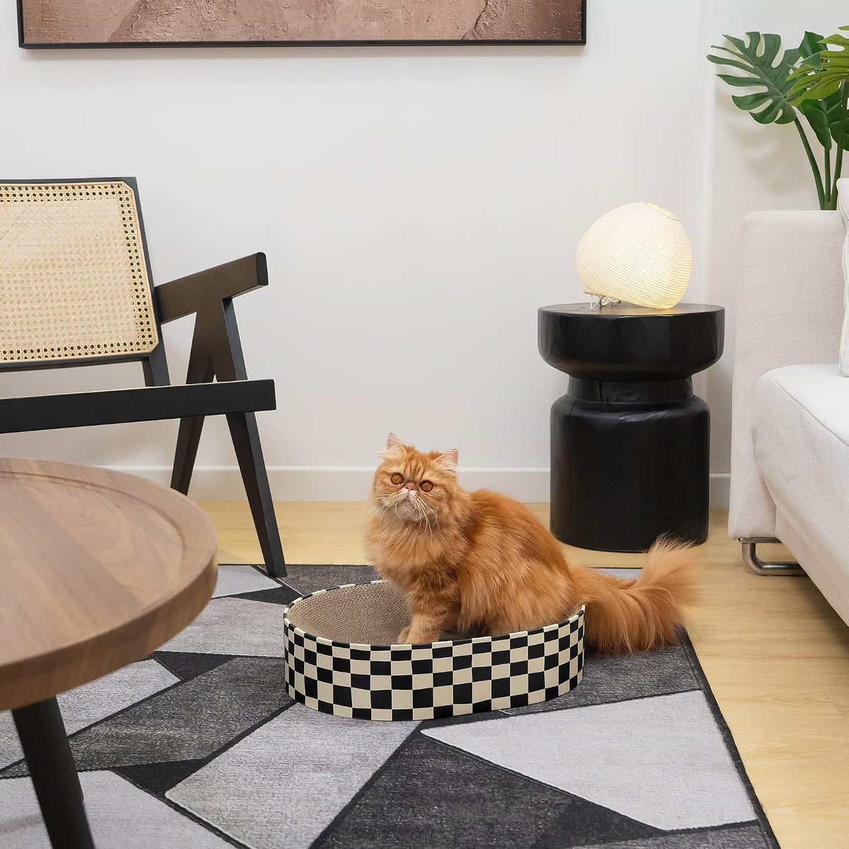 Conlun Oval Cat Scratcher Bed - Checkerboard with Cat Toy Fish / Medium (16.9"L x 12.9"W x 3.5"Th) - image 3