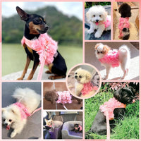Luxury Floral Dog Harness and Leash Set – 3D Petal Puppy Vest Harness for Small Dogs & Cats