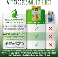 Small Pet Select - Healthy Snackers - Banana (Pack of 2)