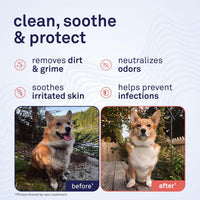 Large dog grooming wipes with coconut extract and aloe, 5 x 7 inch cotton wipes - view 2