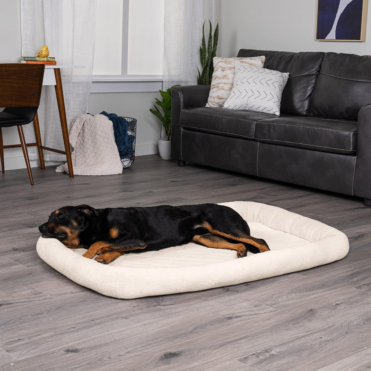 FurHaven Dog Bed for Extra Small Dogs & Cats - Jumbo (XX-Large) / Cream - image 3