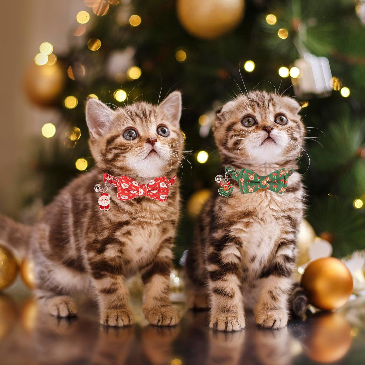 Fall Cat Collar with Bowtie - 7.5"- 10.5" / Christmas-1 - image 3