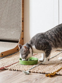 Ceramic Slow Feeder Dog Bowls Small Breed - Green / S-0.5 Cups - image 2