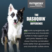Nutramax Laboratories Dasuquin with MSM Chewables, Small/Medium Dog, 150 Count, White