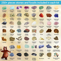 DANCING BEAR Rock, Mineral & Geodes Treasure Hunt Activity Kit Real Shark Teeth Fossils, ID Sheet - image 2