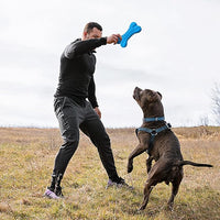 LEGEND SANDY Dog Toys for Aggressive Chewers Large Breed, Durable Dog Bones Squeaky Chew Toy, Nearly Indestructible Dog Toys for Large, Tough Natural Rubber Puppy Chew for Medium Teeth Cleaning