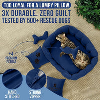 Luxury Cat and Dog Bed Chesterfield – Handcrafted Velvet Throne for Dogs | Joint Support, Calming & Temp-Regulating Comfort | Durable 5+ Years, Anti-Claw, Washable 100+ Times – S, Blue