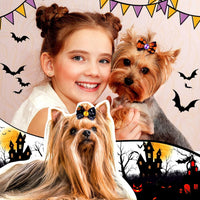 Tondiamo 100 Pack Halloween Dog Hair Bows Ghost Pattern Rubber Bands – Essentials for Dogs - Ghost Pattern - image 4
