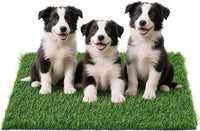 Replacement Artificial Grass Pee Pads for Dogs Potty Training to Pee - XL-39"X24.4"