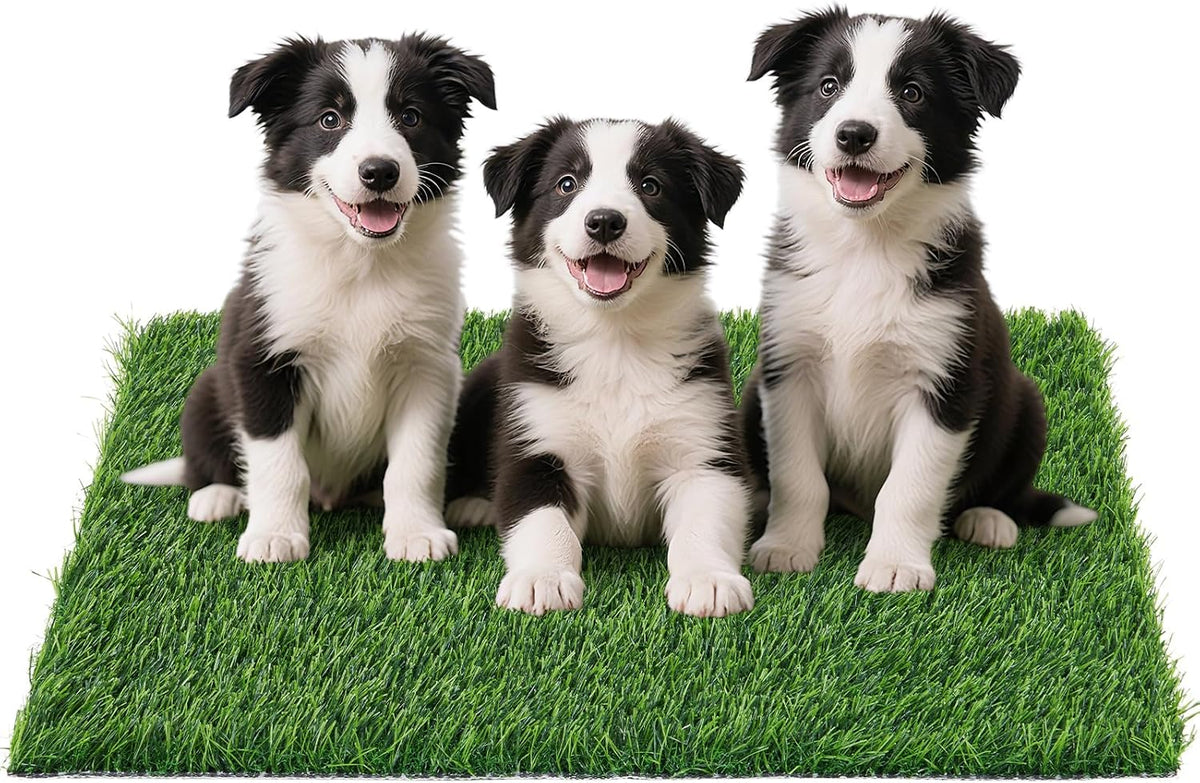 Replacement Artificial Grass Pee Pads for Dogs Potty Training to Pee - XL-39"X24.4"