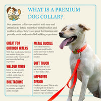 Country Brook Petz - Premium Nylon Dog Collar with Metal Buckle for Small Medium Large Breeds - 30+ - Medium (Pack of 1) / Hot Orange - image 4