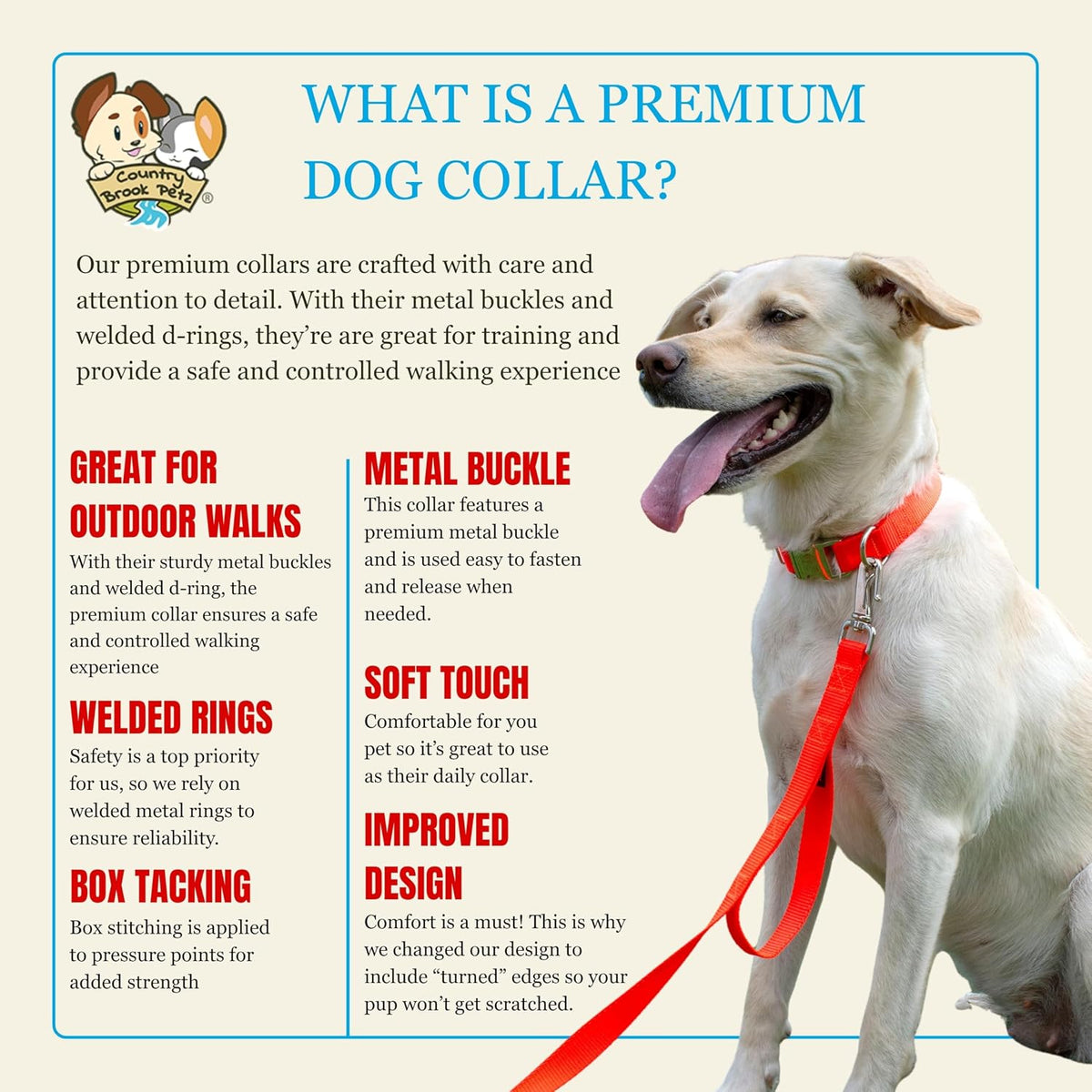 Country Brook Petz - Premium Nylon Dog Collar with Metal Buckle for Small Medium Large Breeds - 30+ - Medium (Pack of 1) / Hot Orange - image 4