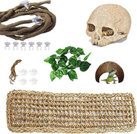 PINVNBY Bearded Dragon Tank Accessories - 【Human Skull+Rectangle Hammock Decor】