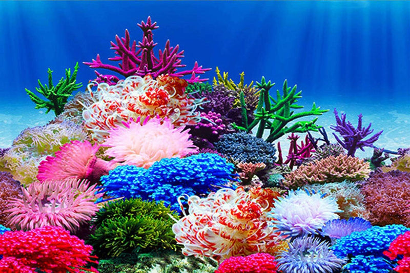 ELEBOX Aquarium Background Poster - H:11.8" x L:16.5" / Sea Anemone