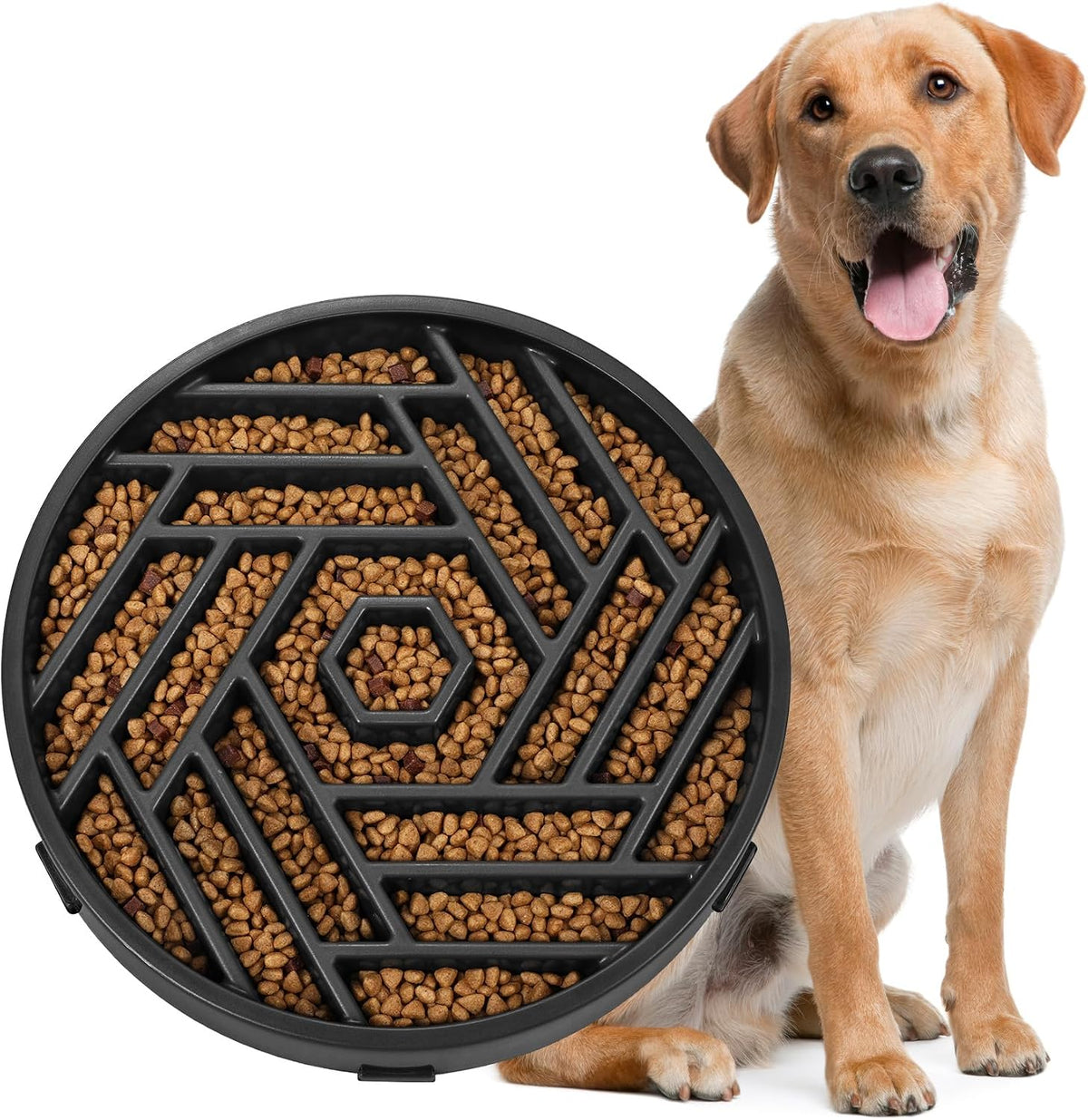 WHIPPY Slow Feeder Dog Bowl - black