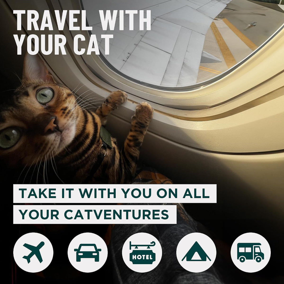 OutdoorBengal Go Litter Portable Travel Litter Box Set for Cats – Daily Care for Cats - Small Tray - image 2