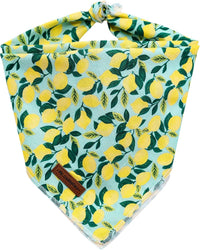 MR. CHUBBYFACE Fall Orange Plaid Dog Bandanas Reversible Triangle - C:Lemon / L