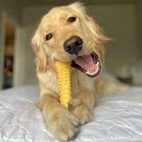 Nylabone Power Chew Customer Favorites Dog Chew Toys - Large / Bundle - image 4