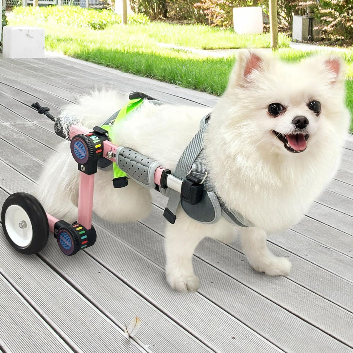Dog Wheelchair for Back Legs, Adjustable Mobility Cart for Dog – Essentials for Dogs - Pink X-Small Plus