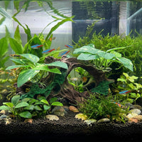 2-Pack Aquarium Decor Fish Tank Decorations 6-inch Betta Fish Tank - F Driftwood Cave Silk Plants - image 2