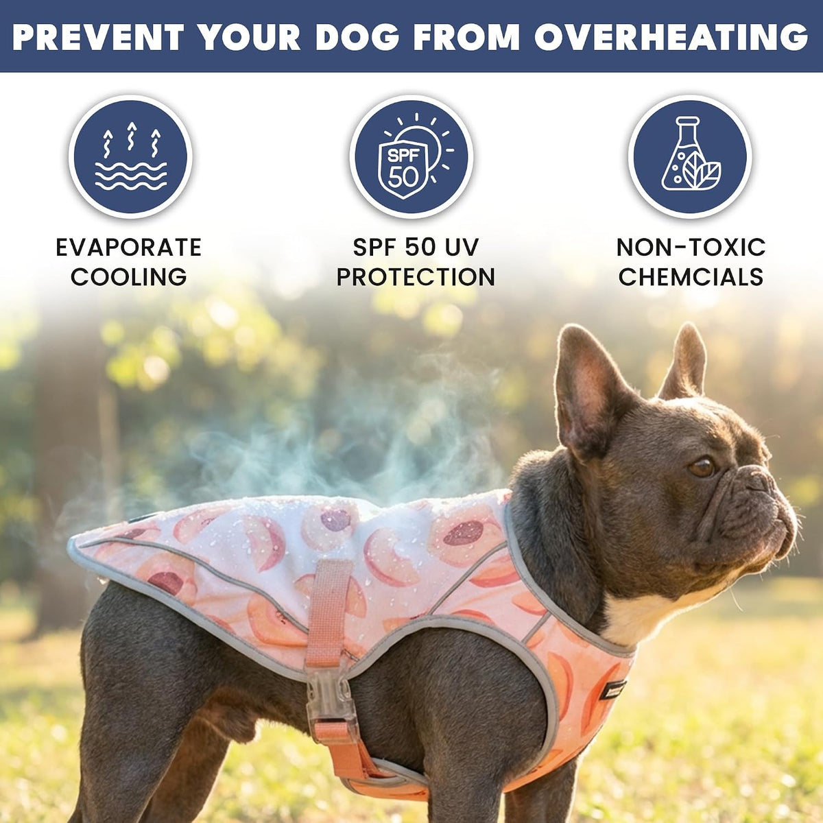 Spark Paws Dog Cooling Vest, Evaporative Summer Cooling - Peaches / Small - image 2