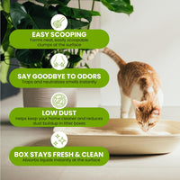 Almo Nature Soft Texture Cat Litter 10 lbs, Plant-Based - 5 lb - image 3