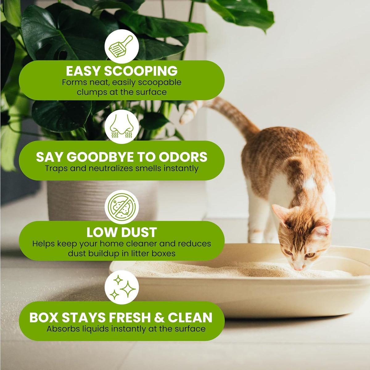 Almo Nature Soft Texture Cat Litter 10 lbs, Plant-Based - 5 lb - image 3
