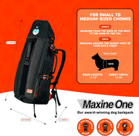 Maxine One Dog Backpack Carrier for Medium Dogs – Essentials for Dogs - Gray - image 4