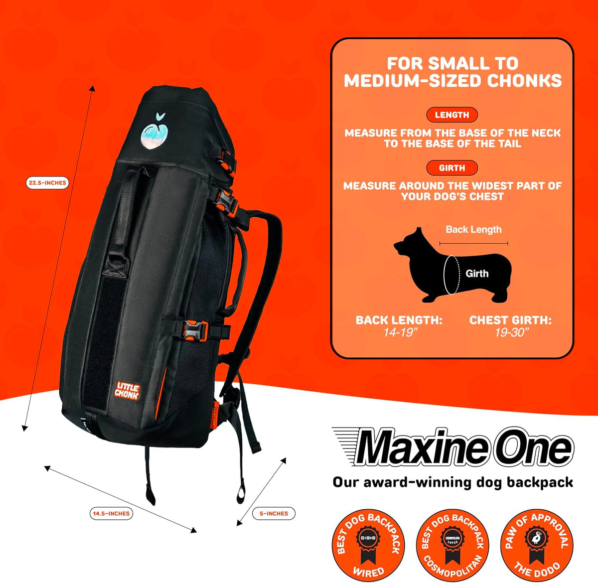 Maxine One Dog Backpack Carrier for Medium Dogs – Essentials for Dogs - Gray - image 4