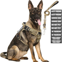 Tactical Dog Harness and Leash Set with 10 Patches for Large Dogs – Essentials for Dogs - Large / Desert Camo
