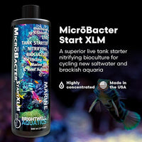 Brightwell Aquatics MicroBacter Start XLM - Concentrated Freshwater Nitrifying Bacteria - Quick Start Fish Tank Starter, Lift Microbe Levels & Water Filtering - Aquarium Water Treatments, 16.9 fl oz