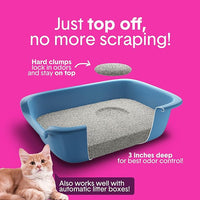 Boxie® Glo™ 30 Day Odor Control Clumping Clay Cat Litter, 16 lb, Multi-Cat, 99.9% Dust-Free, Low Tracking, UV Light Attractant, Superior Clumping for Easy Scooping