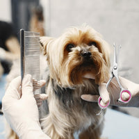Pink 4.5 inch round tip dog grooming scissors with stainless steel blades - view 4
