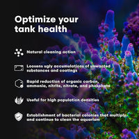 Brightwell Aquatics MicroBacter Clean - Microbial Culture & Enzyme Blend Fish Tank Cleaner - Cleans Live Rock Surfaces for Saltwater Fish Habitats - Aquarium Water Treatments, 33.8 fl oz