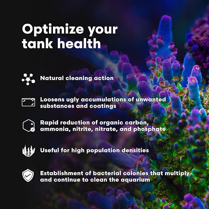 Brightwell Aquatics MicroBacter Clean - Microbial Culture & Enzyme Blend Fish Tank Cleaner - Cleans Live Rock Surfaces for Saltwater Fish Habitats - Aquarium Water Treatments, 33.8 fl oz
