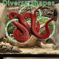 Snake Climbing Rings for Ball Python, Enclosure Accessories - image 4