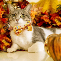 2 Pack Halloween Cat Collars with Bells, Breakaway - Thanksgiving Turkey - image 4