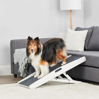 Carlson 39.5" Indoor Pet Ramp