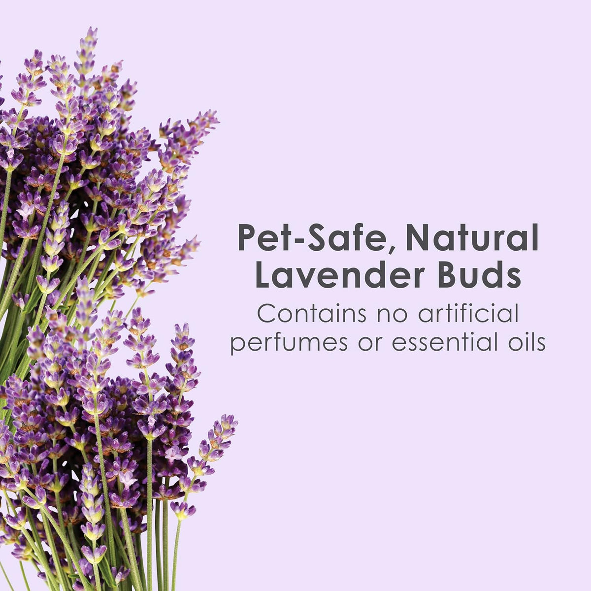 Kaytee Clean & Cozy Lavender Paper Bedding for Guinea Pigs - 24.6 Liters - image 3