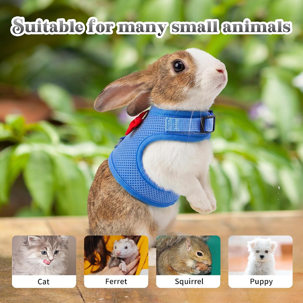 Blue padded mesh rabbit harness and leash set with bow, size M - view 2